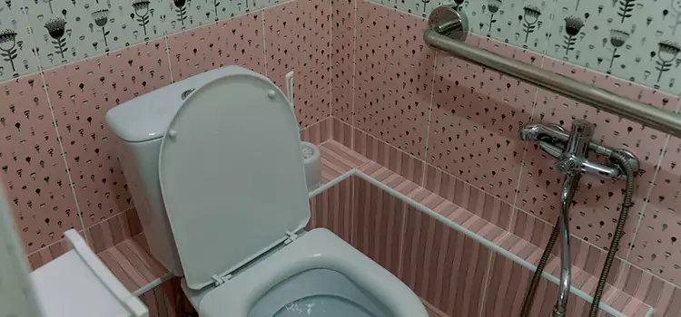 Meeting Diverse Needs With Accessible Restroom Solutions in Agoura Hills, CA