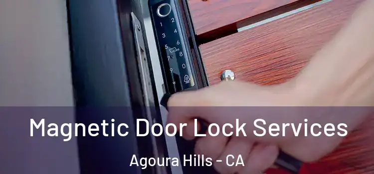 Magnetic Door Lock Services Agoura Hills - CA